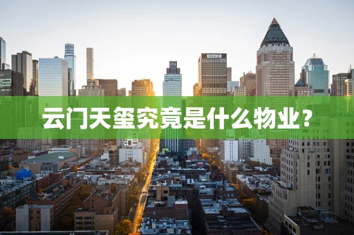 云门天玺究竟是什么物业？