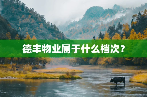 德丰物业属于什么档次？