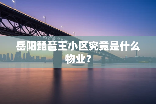 岳阳琵琶王小区究竟是什么物业？