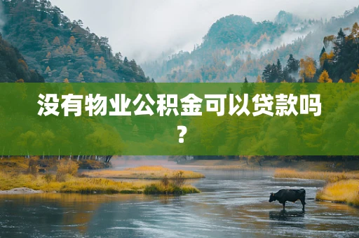没有物业公积金可以贷款吗？