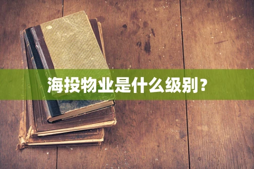 海投物业是什么级别？
