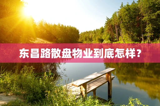 东昌路散盘物业到底怎样？