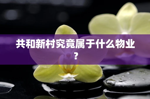 共和新村究竟属于什么物业？