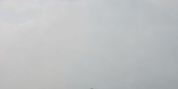 珠海小区物业招聘情况如何？