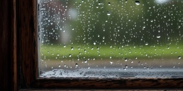 窗户渗水到底属于物业的管理范围吗？