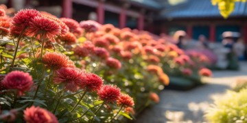 菊园是由什么物业单位管理？