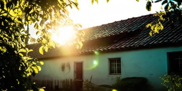 阳光迪金阁物业真的管事吗？