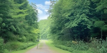 邹庄新村物业老板究竟是谁？
