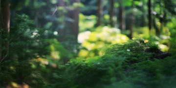 石家庄物业费需要交几年呢？