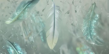 羽锡物业解压码究竟是什么？